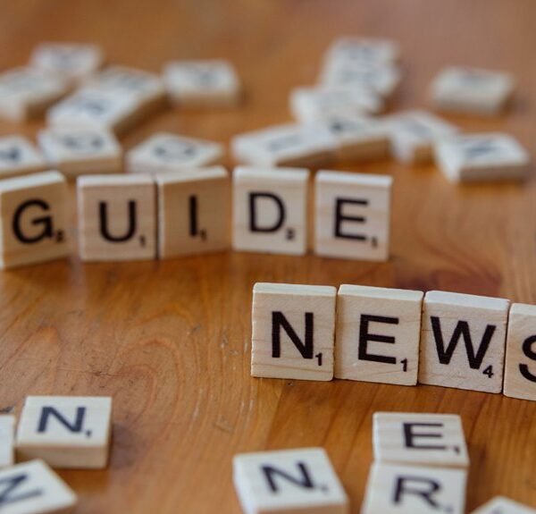 a simple guide summary steps