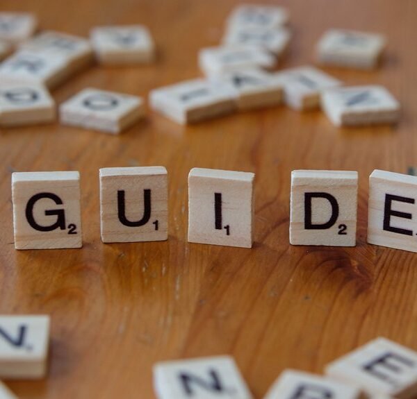 ultimate beginner s guide to ppuydd